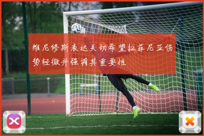 维尼修斯表达关切希望拉菲尼亚伤势轻微并强调其重要性